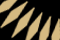 Logo: WC Qual. (CONCACAF)
