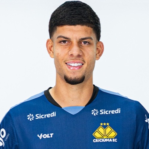 Pedro Henrique Santos Gomes