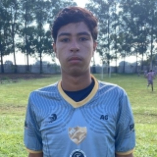 Matheus Santos :: 2026 - Planalto - Informações e Estatísticas do Jogador