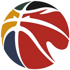 Liga Chinesa de Basquetebol 2023/24