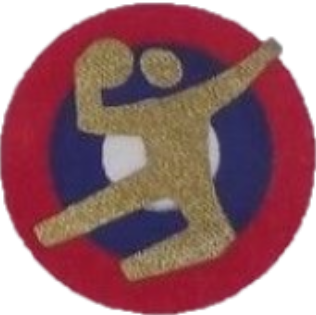 Liga Checoslovaca Andebol 1992/93