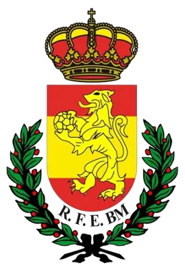Playoff Honor Plata/Primera Nacional 2025/2026