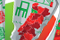 Logo: WSE Euro