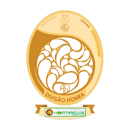 AF Viseu - Divisão Honra logo