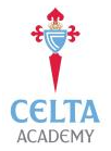 Celta Academy