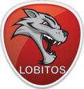 Lobitos Futsal