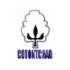 Cotontchad