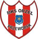 Orzel Przeworsk