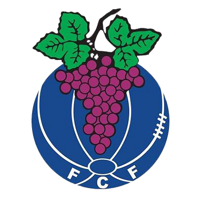 FC Fontelas