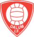 Dalum IF