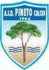 Pineto Calcio