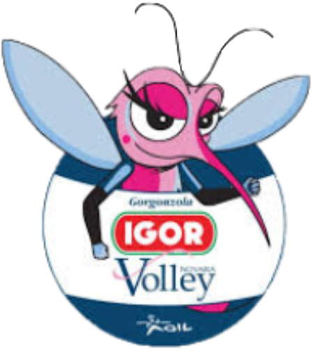 AGIL Volley
