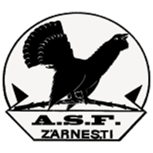 Olimpic Zarnesti