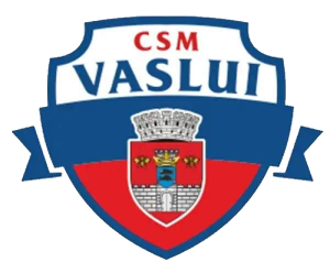 CSM Vaslui