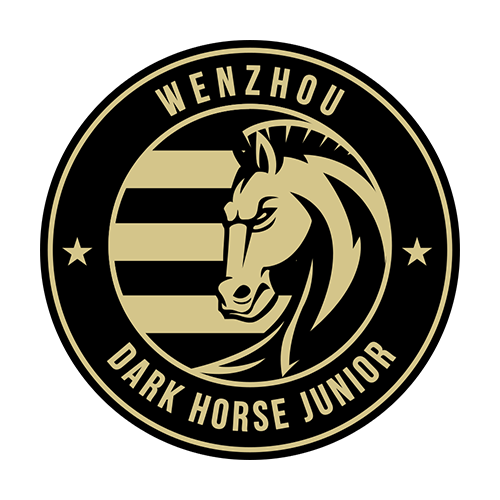 Wenzhou FC