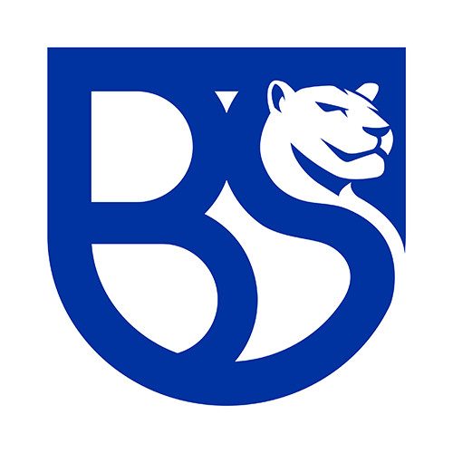 Union Brescia