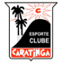 Esporte Clube Caratinga logo