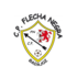 Flecha Negra