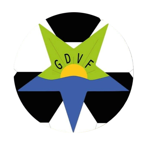 GD Vale Figueira logo