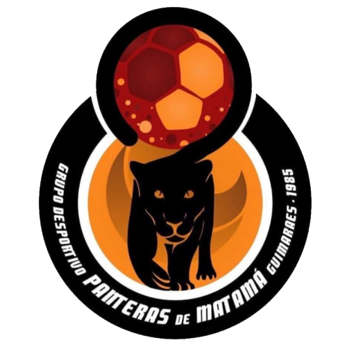 Panteras de Matamá