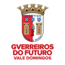 GF - Vale Domingos