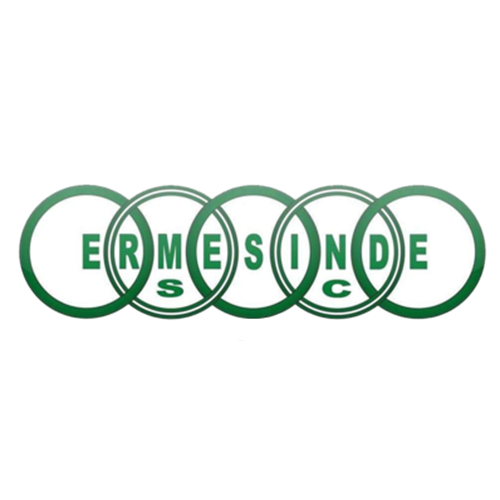 Ermesinde