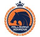 Pallamano Romagna