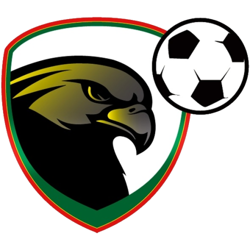 Falcons