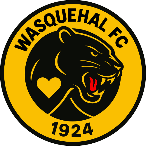 Wasquehal FC