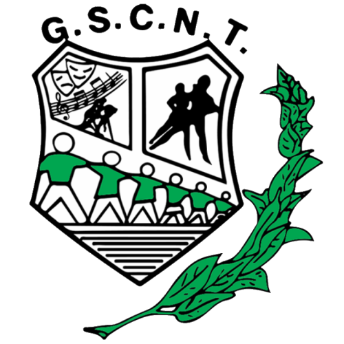 Novos Talentos