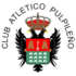 Pulpileño