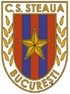 FCSB