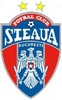FCSB