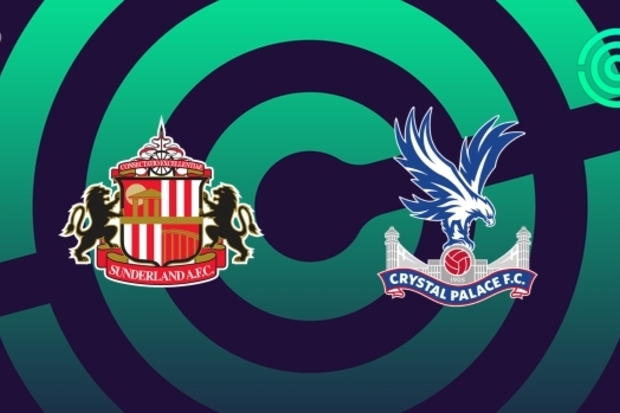 Crystal Palace defeat Sunderland Crystal Palace defeat Sunderland