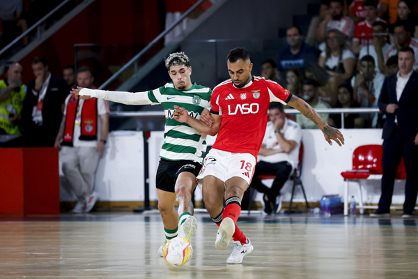 Liga Placard vai decidir-se no Jogo 5 pela sexta vez: história está do lado do Benfica