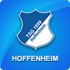 Markus Babbel deixa Hoffenheim