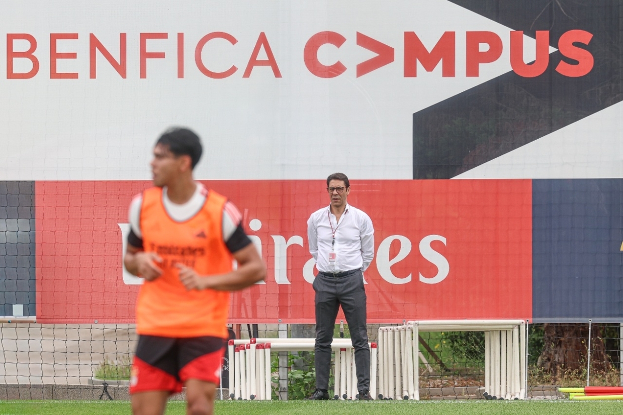 Rui Costa confirma reforço e ataca: «Tolerância zero com Proença e Conselho de Arbitra...
