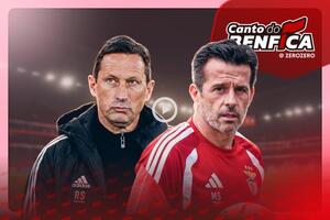 «Acredito no Marco Silva como só acreditei no início do Schmidt»