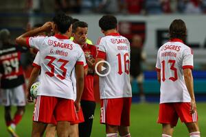 «Sinto que o Marco Silva vai dar espaço aos jovens do Benfica»