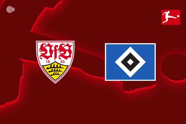 Stuttgart beat Hamburger SV Stuttgart beat Hamburger SV