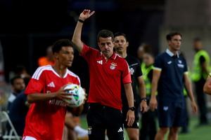 Mais dois internacionais às ordens de Marco Silva: próxima semana arranca com todos disp...