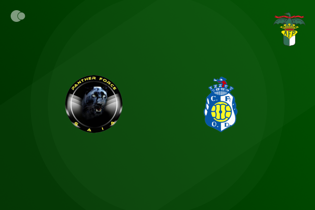 AF Porto Jun.C 2ª Div.: Oliv. Douro derrota Panther Force