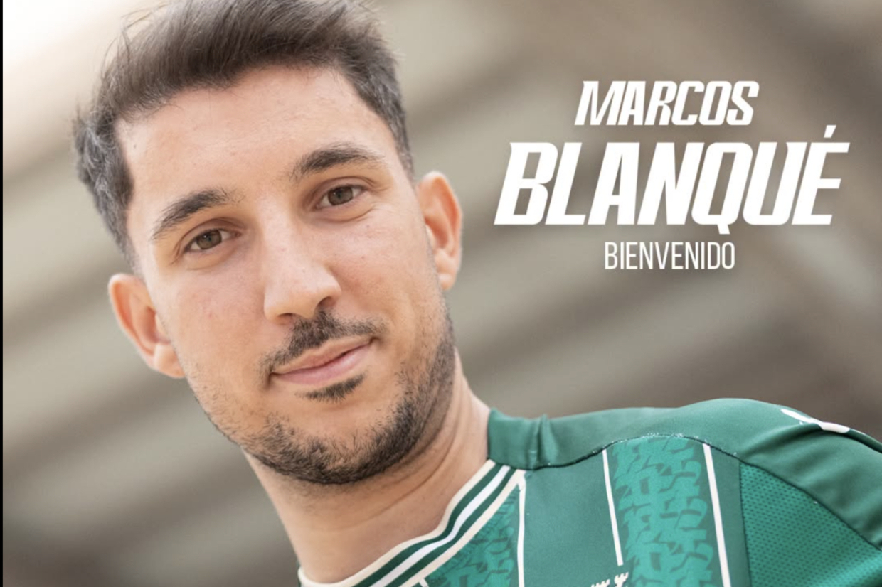 Quem sai, quem entra, quem fica: o mercado mexe no Campeonato Placard!